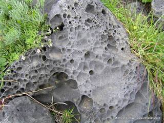 Acque_Grandi - 21-09-2014 17-52-00.jpg
